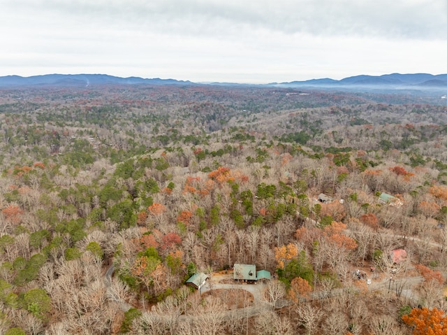 drone / aerial view featuring a mountain view and a wooded view