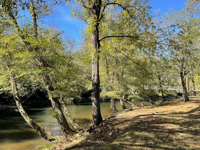 water view featuring a forest view