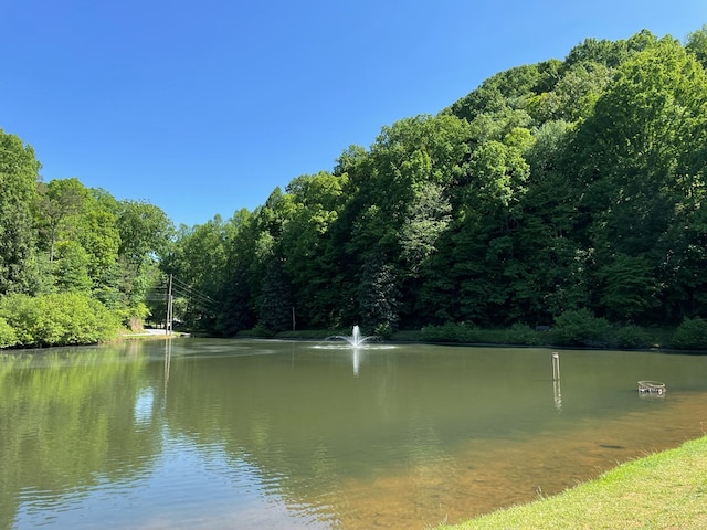 view of water feature featuring a wooded view