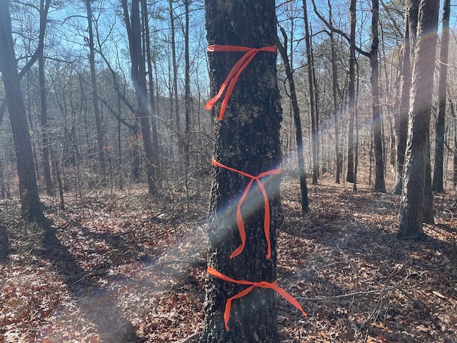 01 Old Federal Rd, Talking Rock, GA 30175
