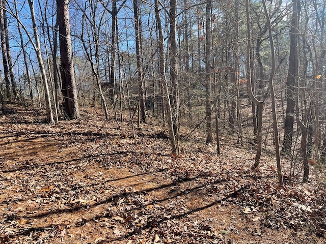 01 Old Federal Rd, Talking Rock, GA 30175