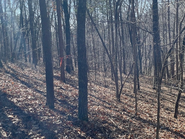 01 Old Federal Rd, Talking Rock, GA 30175