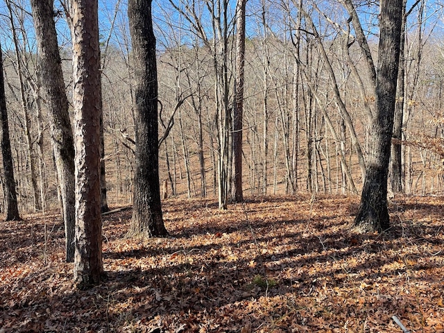 01 Old Federal Rd, Talking Rock, GA 30175