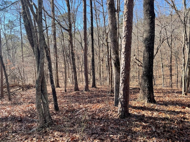 01 Old Federal Rd, Talking Rock, GA 30175