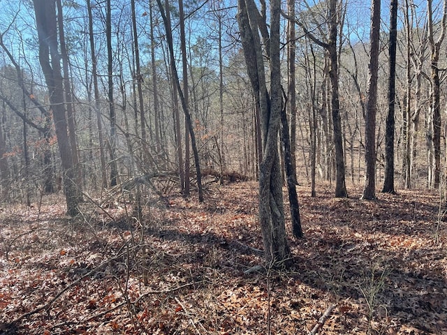 01 Old Federal Rd, Talking Rock, GA 30175