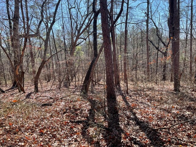 01 Old Federal Rd, Talking Rock, GA 30175