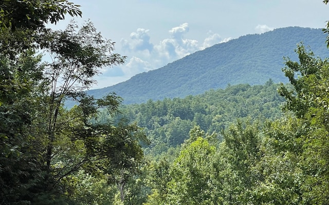 LT72 Fires Creek Cv, Hayesville NC, 28904 land for sale