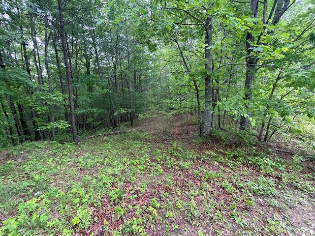 0 Tall Timber, Murphy NC, 28906 land for sale