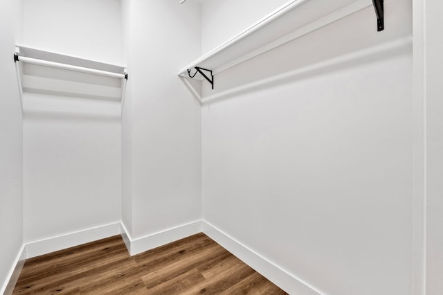 109 Lakeview Ct, Ellijay, GA 30540 - walk in closet with wood finished floors