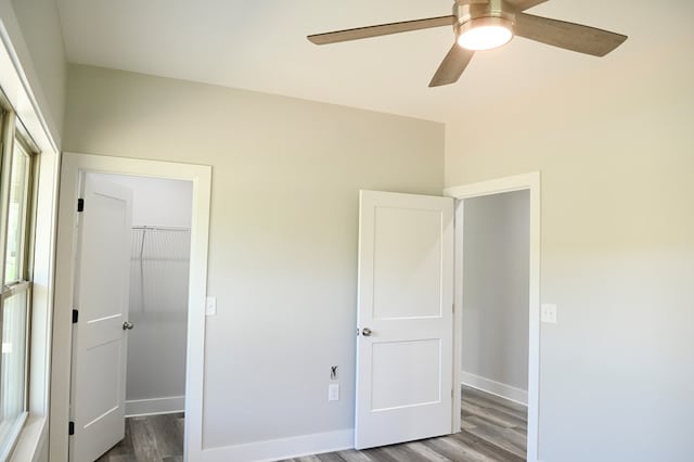 unfurnished bedroom with a closet, dark hardwood / wood-style flooring, ceiling fan, and a walk in closet