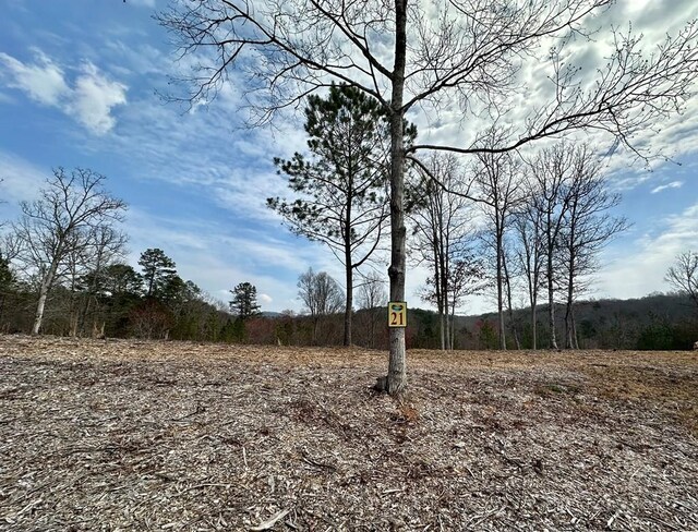 LOT21 Arbor Creek Trl, Mineral Bluff GA, 30559 land for sale