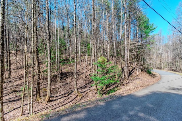 LOT694 S Satsuma Ct, Ellijay GA, 30540 land for sale