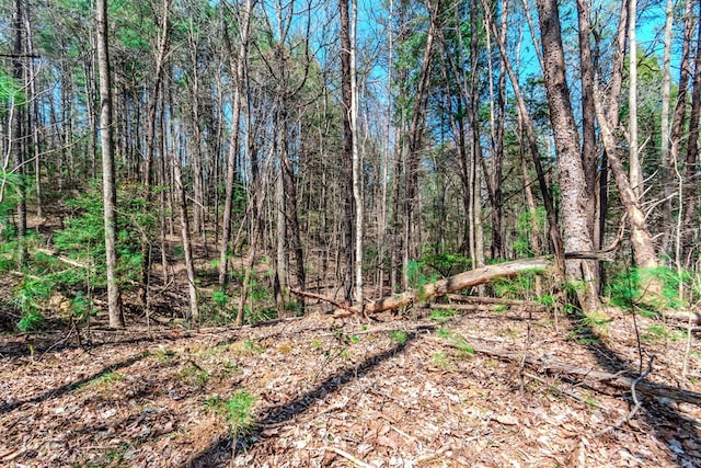 Listing photo 3 for LOT694 S Satsuma Ct, Ellijay GA 30540