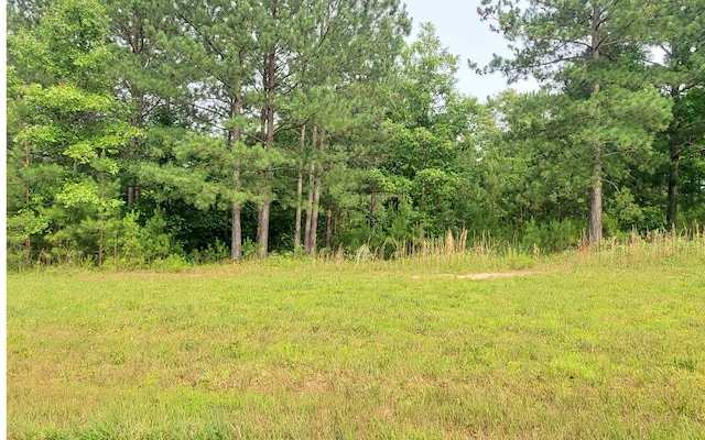 LOT87 Northshore, Blairsville, GA 30512
