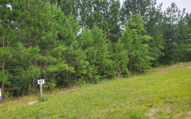 LOT87 Northshore, Blairsville, GA 30512