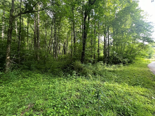 Listing photo 2 for LOT8 Collett Creek Rd, Andrews NC 28901