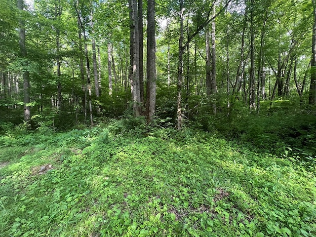 Listing photo 3 for LOT8 Collett Creek Rd, Andrews NC 28901