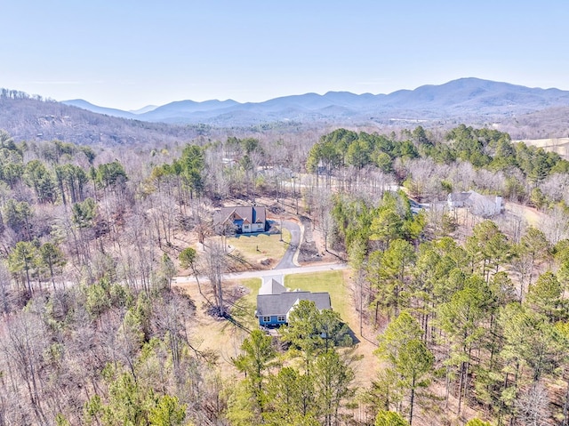 birds eye view of property with a mountain view