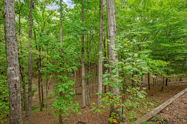 view of landscape with a wooded view