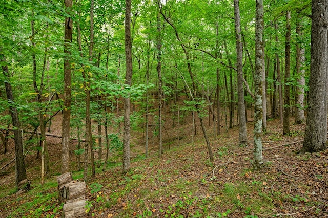 view of local wilderness with a forest view