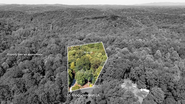 aerial view featuring a forest view