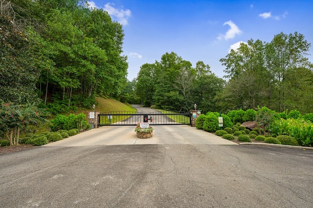 view of street featuring a gated entry and a gate