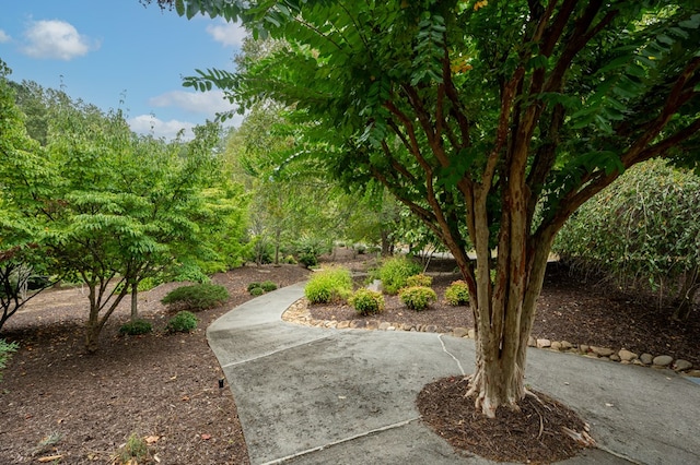 view of property's community featuring a patio area