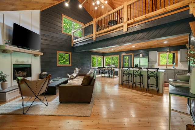 149 Happy Hollow Ln, Mineral Bluff, GA 30559 - living area with wood walls, plenty of natural light, a fireplace with raised hearth, light wood-style flooring, and high vaulted ceiling