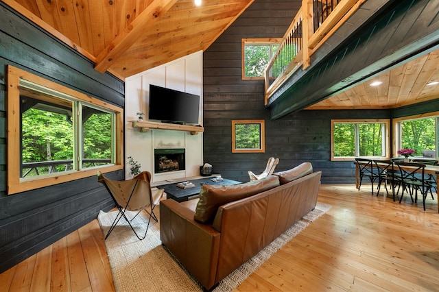 149 Happy Hollow Ln, Mineral Bluff, GA 30559 - living area featuring wooden walls, wood-type flooring, lofted ceiling, wood ceiling, and a fireplace with raised hearth