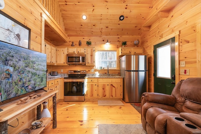 kitchen featuring stainless steel appliances, a healthy amount of sunlight, a sink, wood walls, and light stone countertops