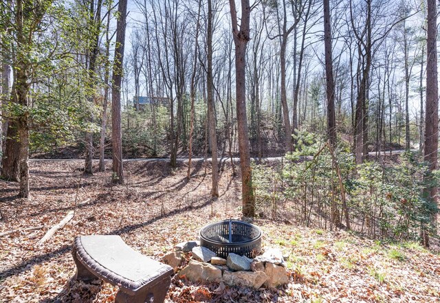 view of yard with an outdoor fire pit