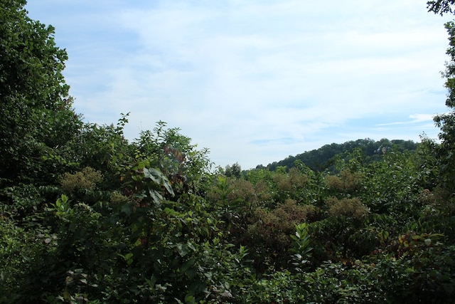 LOT26 Trillium Heights Cir, Hayesville, NC 28904
