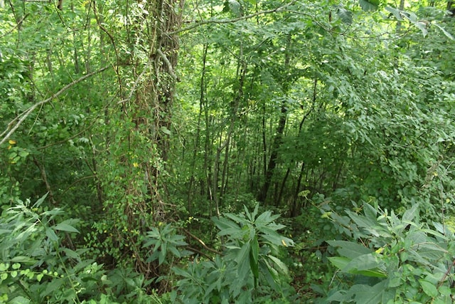 LOT26 Trillium Heights Cir, Hayesville, NC 28904