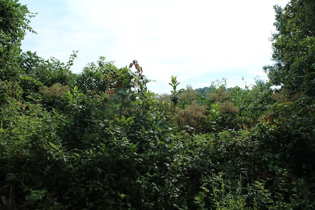 LOT26 Trillium Heights Cir, Hayesville, NC 28904
