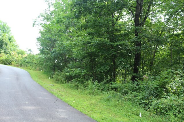 LOT26 Trillium Heights Cir, Hayesville, NC 28904