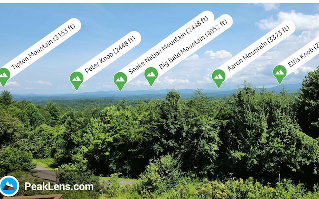 0 Lookout Dr, Blue Ridge GA, 30513 land for sale