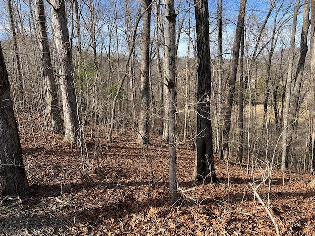 LOT77A Licklog Rdg, Hayesville NC, 28904 land for sale