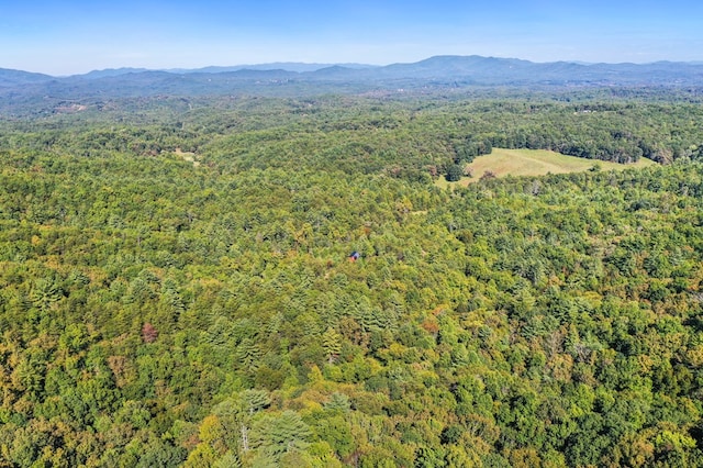 drone / aerial view with a mountain view