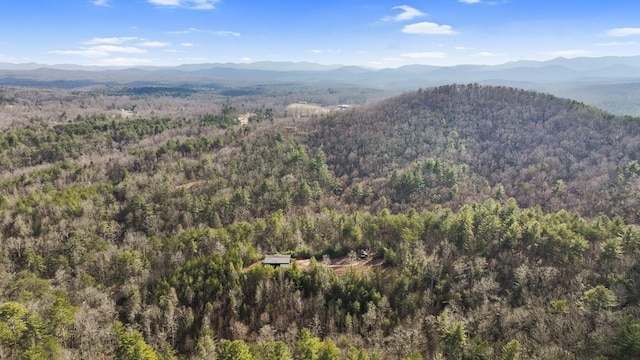 view of mountain feature