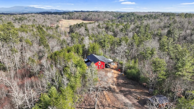 drone / aerial view with a mountain view