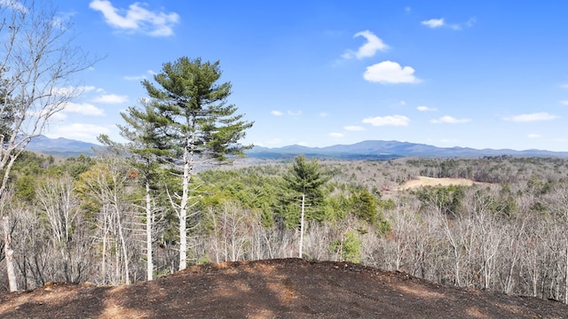 property view of mountains