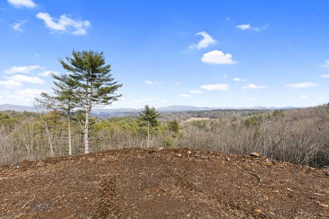 view of local wilderness featuring a mountain view