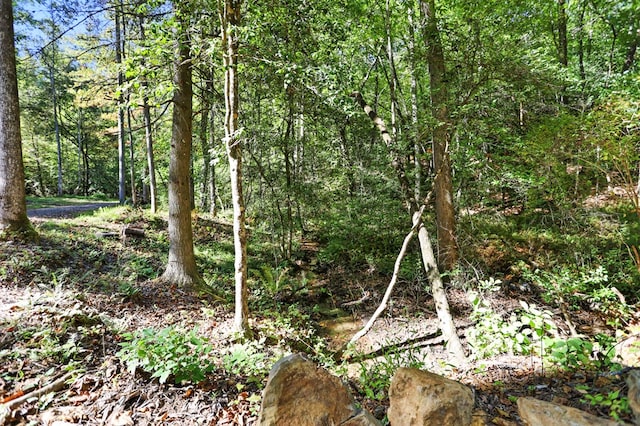 view of local wilderness