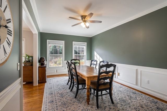 dining room with crown molding, a ceiling fan, wainscoting, and wood finished floors