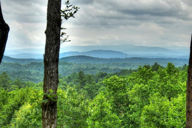 property view of mountains