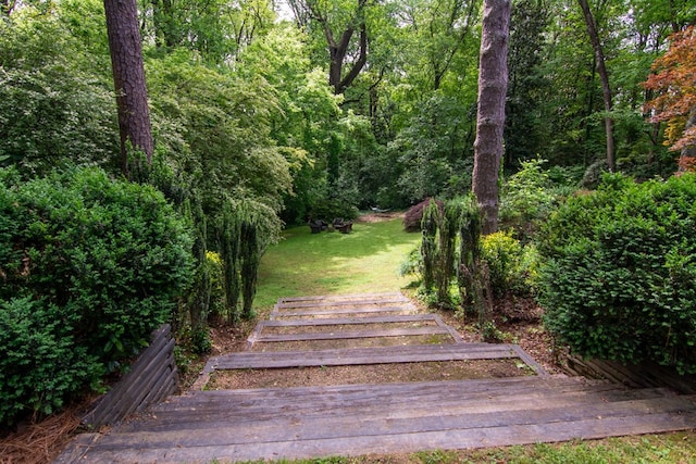 view of yard with a forest view