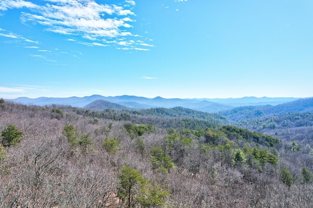 Listing photo 3 for 184 Green Mountain Ct, Blue Ridge GA 30513