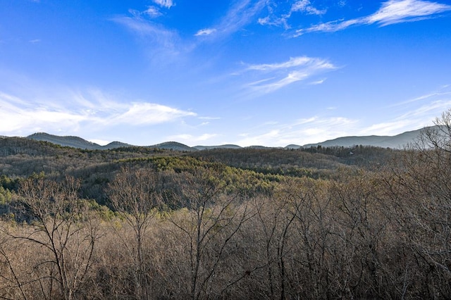 view of mountain feature