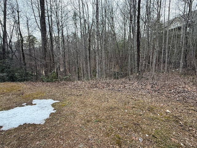 Listing photo 3 for LOT104 Kingwood Ct, Clayton GA 30525