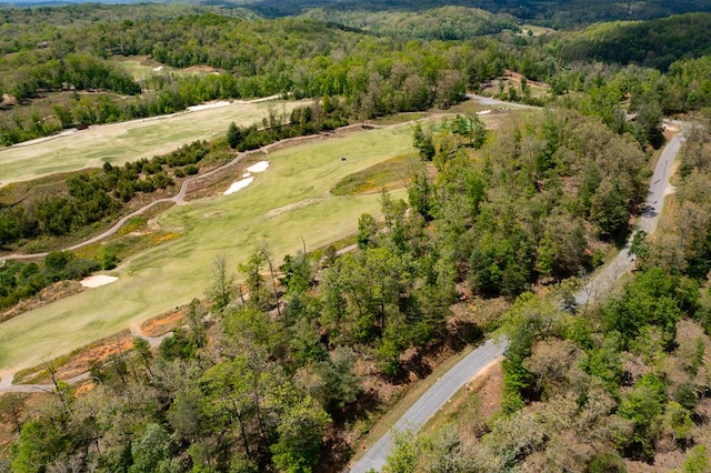 LT192 Trails End Way, Mineral Bluff, GA 30559